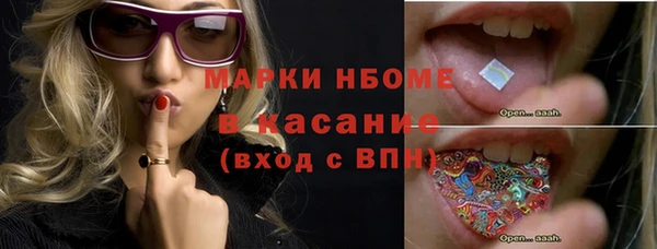 мет Алексин