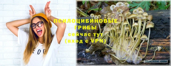 амф Алексеевка