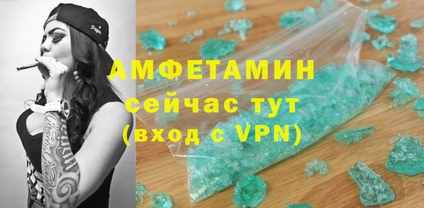 мет Алексин