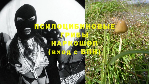 прущая мука Алзамай