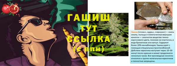 соль ск Абаза